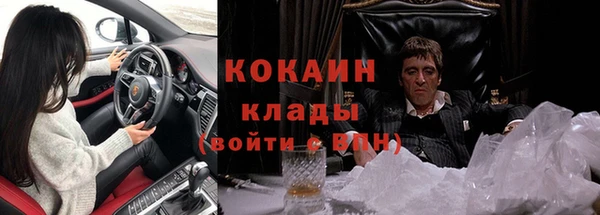 шишки Абаза