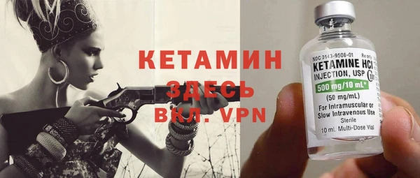 шишки Абаза