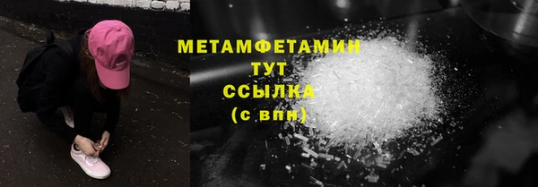 шишки Абаза