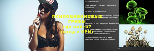 шишки Абаза