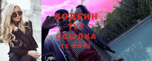 шишки Абаза