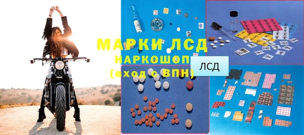 шишки Абаза