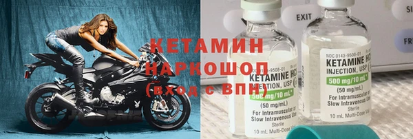 шишки Абаза