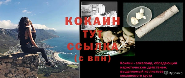 шишки Абаза