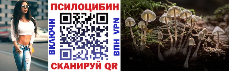 сколько стоит  Барнаул  Псилоцибиновые грибы Psilocybine cubensis 