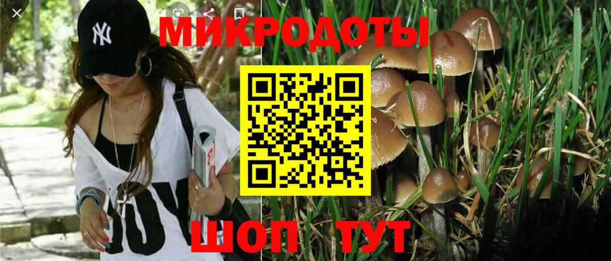Барнаул  Галлюциногенные грибы Psilocybine cubensis  Галлюциногенные грибы GOLDEN TEACHER  Вход с VPN 